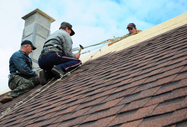 Best Storm Damage Roof Repair  in West End Cobb Town, AL